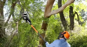 pole saws Brisbane