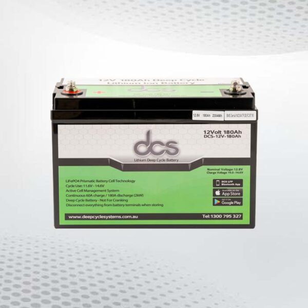 12 deep cycle battery