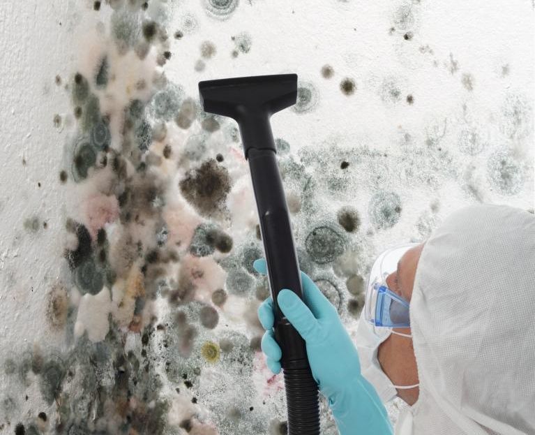 mould treatment Sydney